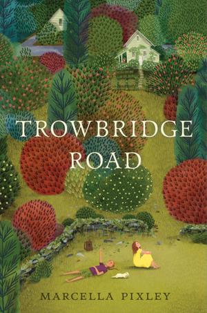 Trowbridge Road by Marcella Pixley