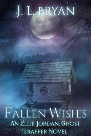 Fallen Wishes by J.L. Bryan