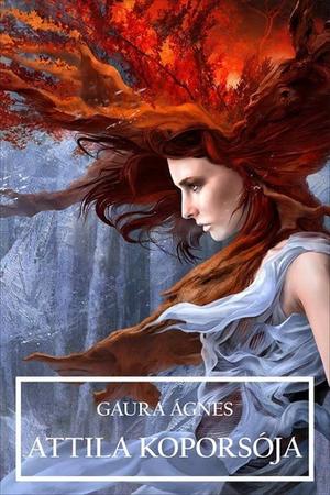Attila koporsója by Ágnes Gaura
