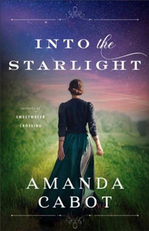 Into the Starlight by Amanda Cabot