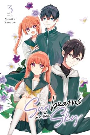 Sunbeams in the Sky, Vol. 3 (そらに陽だまり [Sora ni Hidamari] #3)