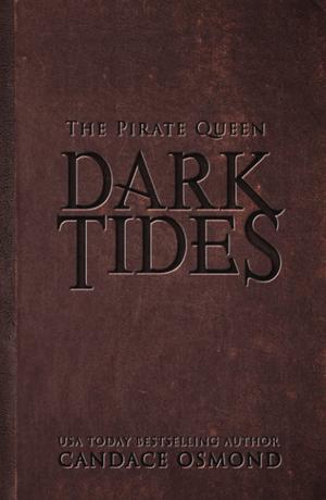 The Pirate Queen (Dark Tides #2)