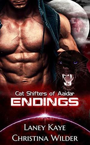 Endings by Laney Kaye, Christina K. Wilder