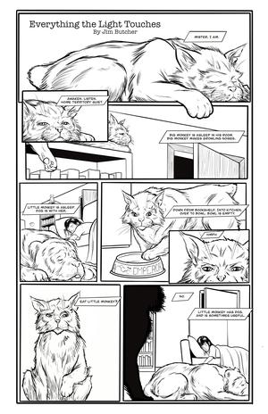 Everything the Light Touches (The Dresden Files #15.2)