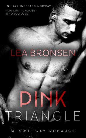 Pink Triangle by Lea Bronsen