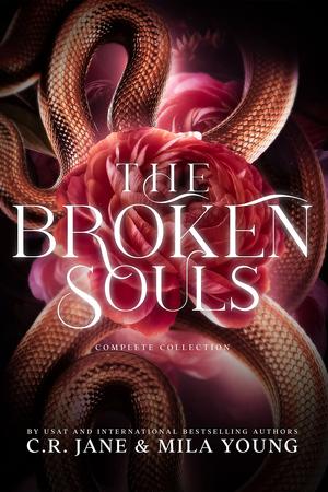 The Broken Souls Complete Collection (Academy of Souls #1-4)