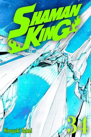 Shaman King Vol. 34 (シャーマンキング [Shaman King] #34)