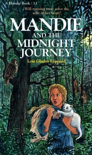 Mandie and the Midnight Journey (Mandie #13)