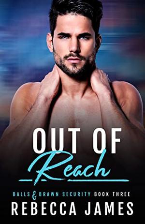 Out of Reach (Balls & Brawn Security #3)