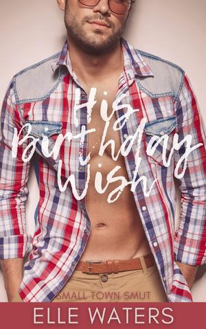 His Birthday Wish by Elle Waters