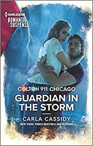 Guardian in the Storm (Colton 911: Chicago #6)