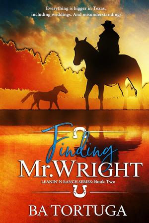 Finding Mr. Wright by B.A. Tortuga