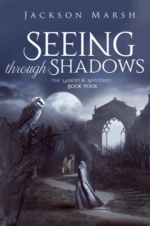 Seeing Through Shadows by Jackson Marsh