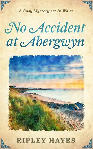 No Accident at Abergwyn (Tudor and Stewart Abergwyn Mysteries #1)