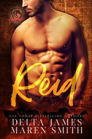 Reid (Wild Mustang Security Firm #6)