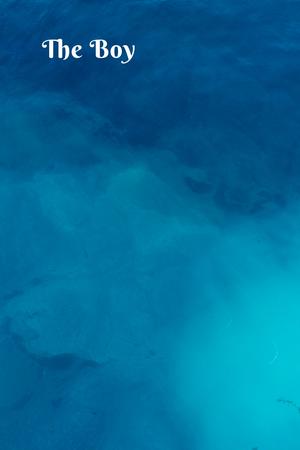 The Boy by Erika Johansen