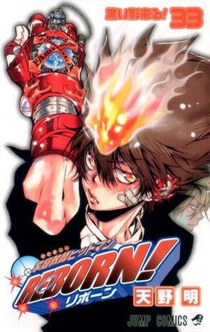 家庭教師ヒットマンREBORN! [Katekyo Hitman Reborn!] 33 (Reborn! #33)