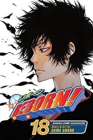 Reborn!, Vol. 18 (Reborn! #18)