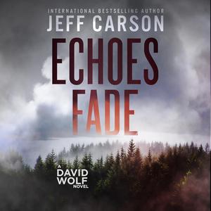 Echoes Fade: David Wolf Mystery Thriller Series, Book 17 by Jeff Carson