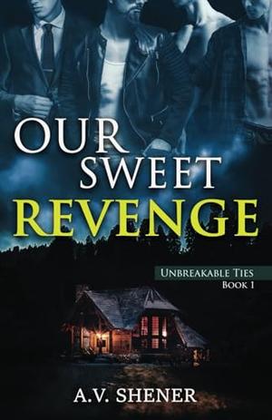 Our Sweet Revenge by A.V. Shener