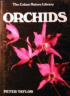 Orchids by Peter Taylor