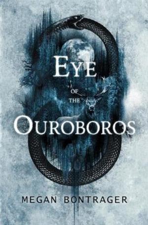Eye of the Ouroboros by Megan Bontrager