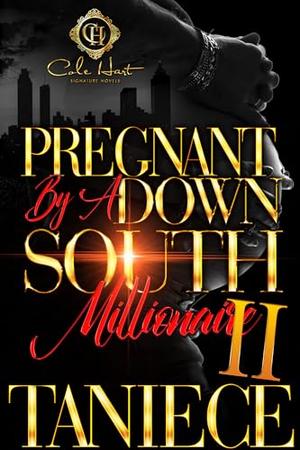 Pregnant By A Down South Millionaire 2 by Taniece