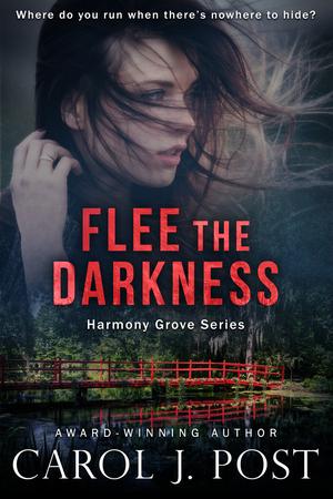 Flee the Darkness (Harmony Grove #1)