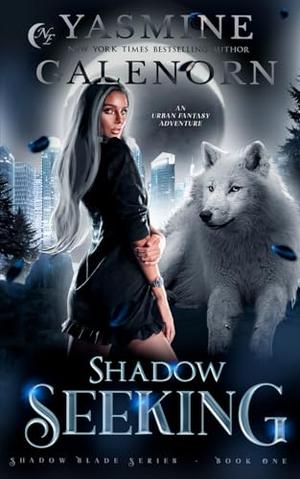 Shadow Seeking: An Urban Fantasy Adventure (Shadow Blade #1)