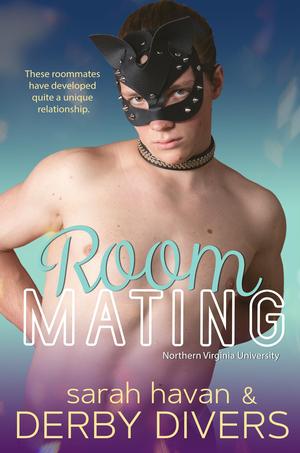 Roommating by Sarah Havan, Derby Divers