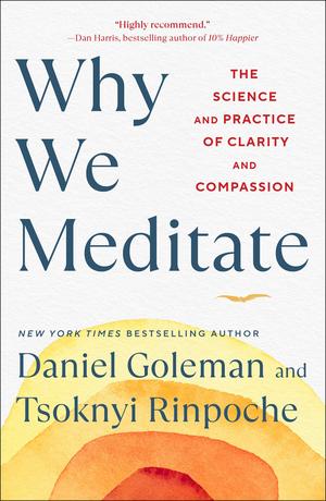 Why We Meditate: The Science and Practice of Clarity and Compassion by Daniel Goleman, Tsoknyi Rinpoche