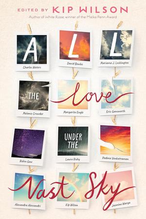 All the Love Under the Vast Sky by Kip Wilson, David Bowles