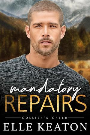 Mandatory Repairs (Collier's Creek #2)
