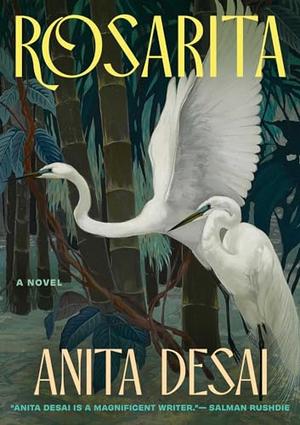 Rosarita by Anita Desai