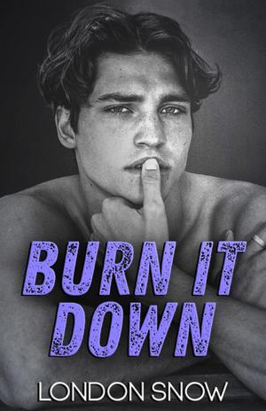 Burn it Down (Kings of Castlebrook #1.5)