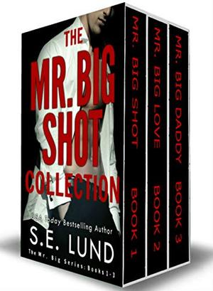 The Mr. Big Shot Collection by S.E. Lund