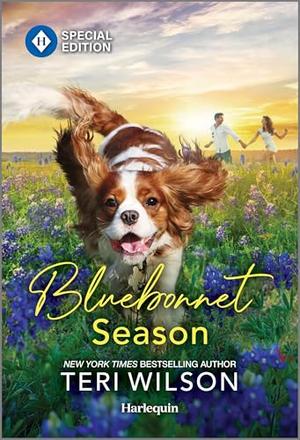 Bluebonnet Season by Teri Wilson