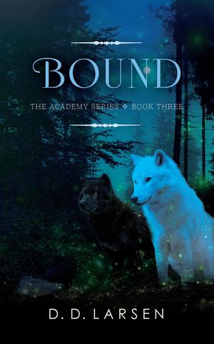 Bound (The Academy #3)