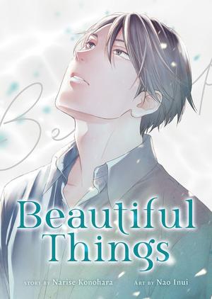Beautiful Things: The Complete Manga Collection by Narise Konohara, Nao Inui