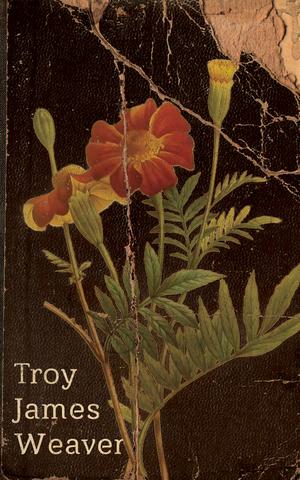 Marigold by Troy James Weaver