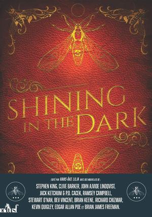 Shining in the dark by Stephen King, Clive Barker, John Ajvide Lindqvist, Jack Ketchum, P.D. Cacek, Ramsey Campbell, Stewart O'Nan, Bev Vincent, Brian Keene, Richard Chizmar, Kevin Quigley, Edgar Allan Poe, Brian James Freeman