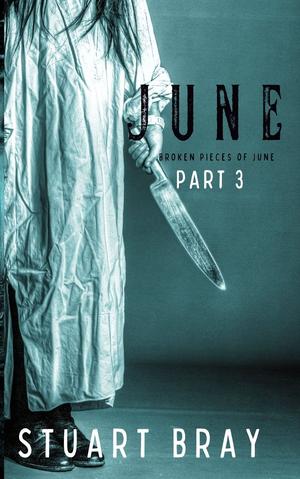 June: Broken pieces of June 3 by Stuart Bray