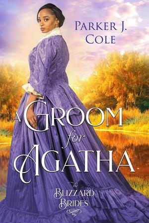 A Groom for Agatha (The Blizzard Brides #27)