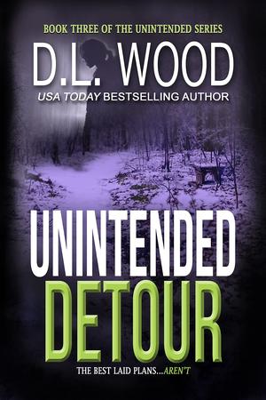 Unintended Detour by D.L. Wood