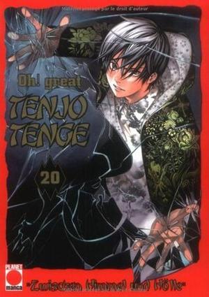 Tenjo Tenge, Band 20: Zwischen Himmel und Hölle (Tenjho Tenge #20)