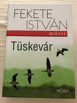 Tüskevár by István Fekete