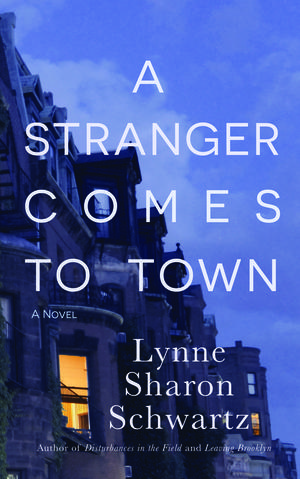 A Stranger Comes to Town by Lynne Sharon Schwartz