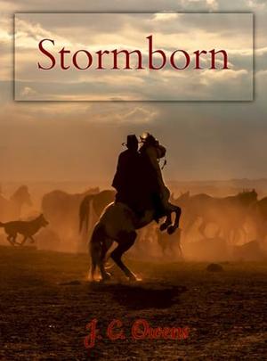 Stormborn by J.C. Owens