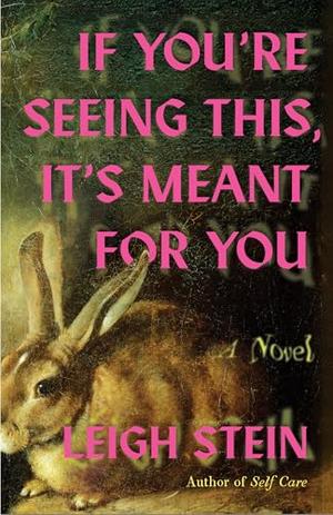 If You're Seeing This, It's Meant for You by Leigh Stein
