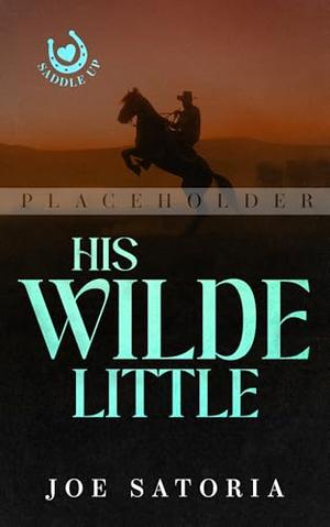 His Wilde Little: An MM Cowboy Daddy Romance by Joe Satoria